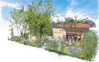 chelsea flower show 2025