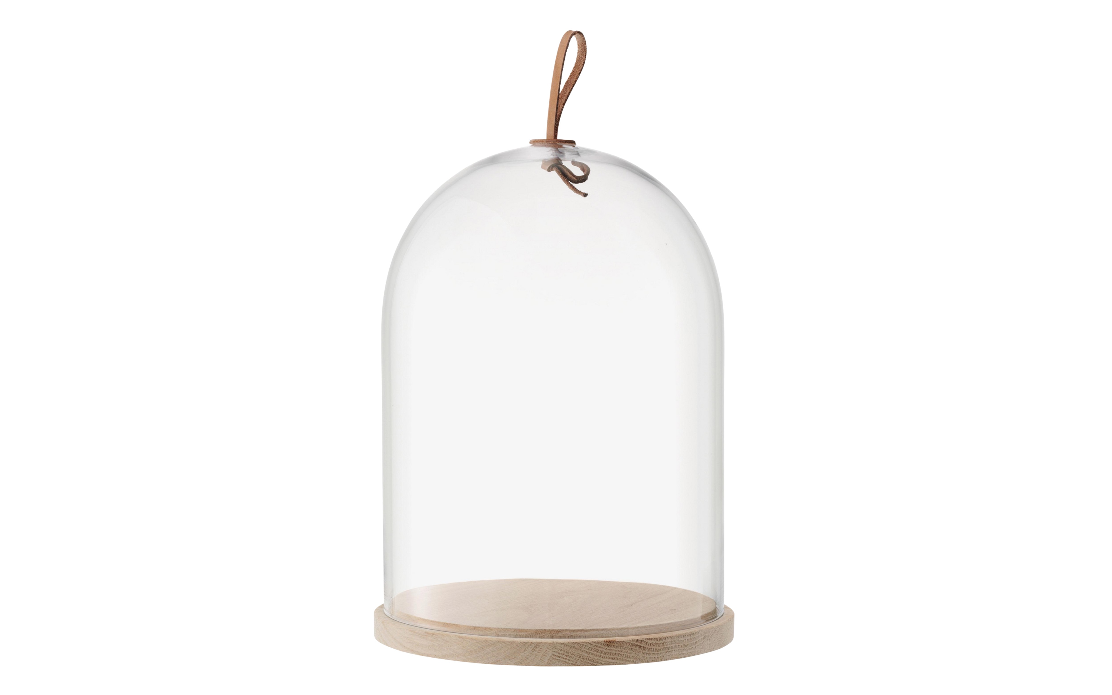 Cloche Dome & Oak Base, LSA International