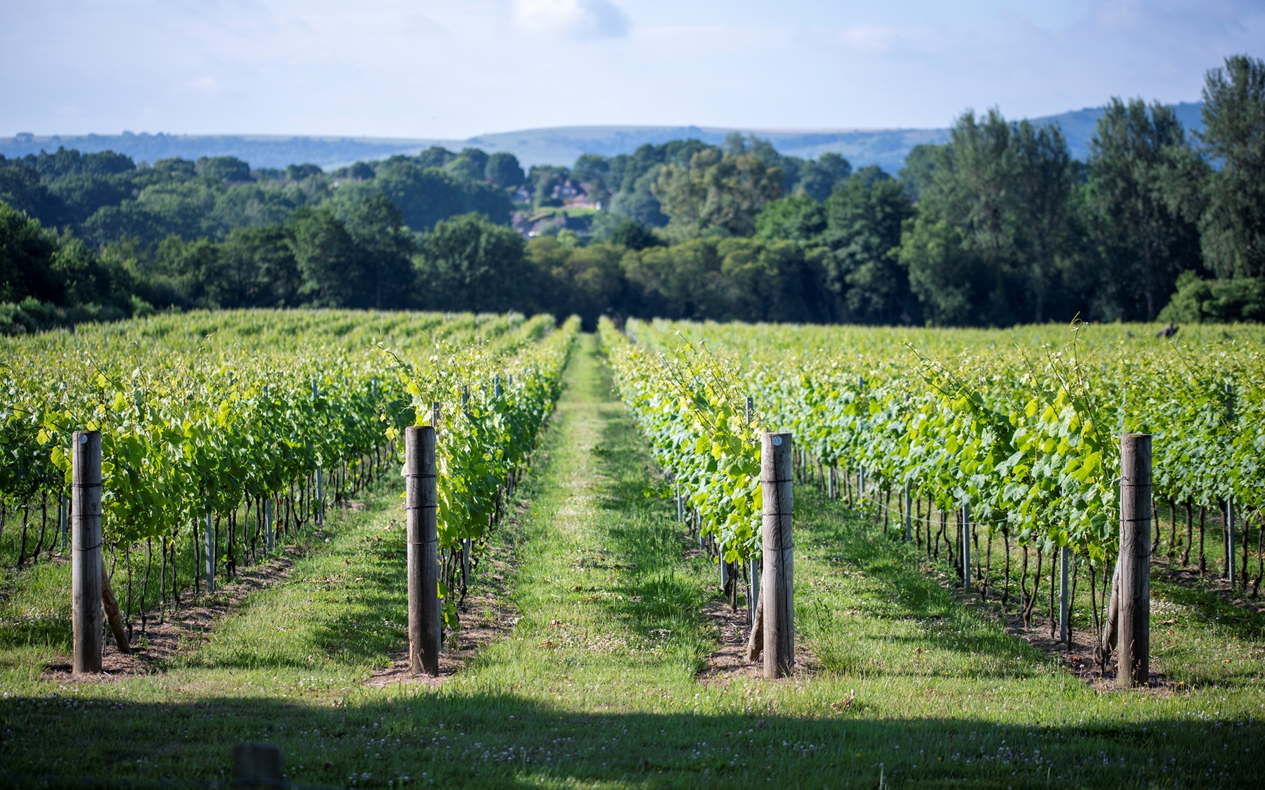 west sussex travel guide