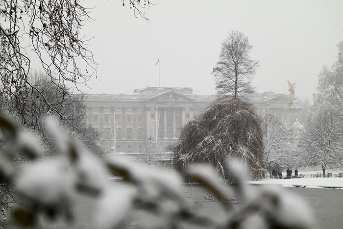 Buckingham Palace in the snow